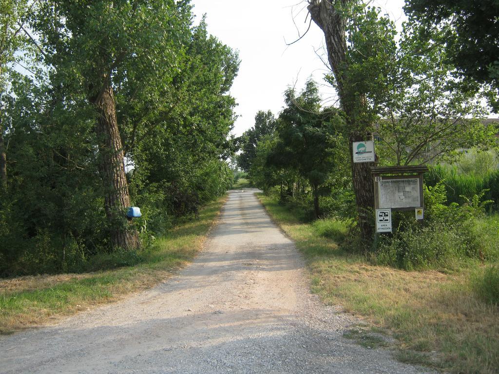 Agriturismo Lucchetta Reggiolo エクステリア 写真